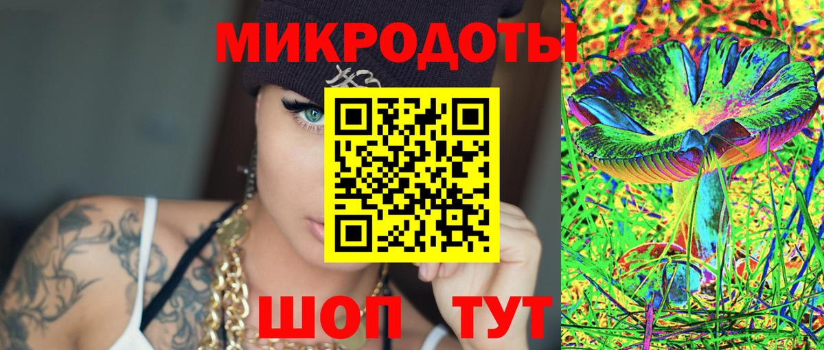 Псилоцибиновые грибы Psilocybe Хасавюрт