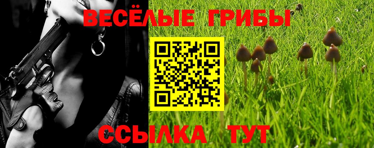 где найти наркотики  Вход с VPN  Галлюциногенные грибы Magic Shrooms  Хасавюрт  Галлюциногенные грибы Cubensis 